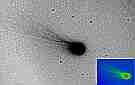 Ikeya-Zhang
Technik - Technique: CCD
Homepage: www.iac.es/galeria/mrk/comet_images.html
URL: www.iac.es/galeria/mrk/c2002c1_sanchez_030302.jpg
Datum - Date: 20020303
Autor - Author: V. Albert Sanchez
Ort - Place: Gualba, Spanien
Instrument: 0.3m SCT f/3.3
Compilation by Jost Jahn